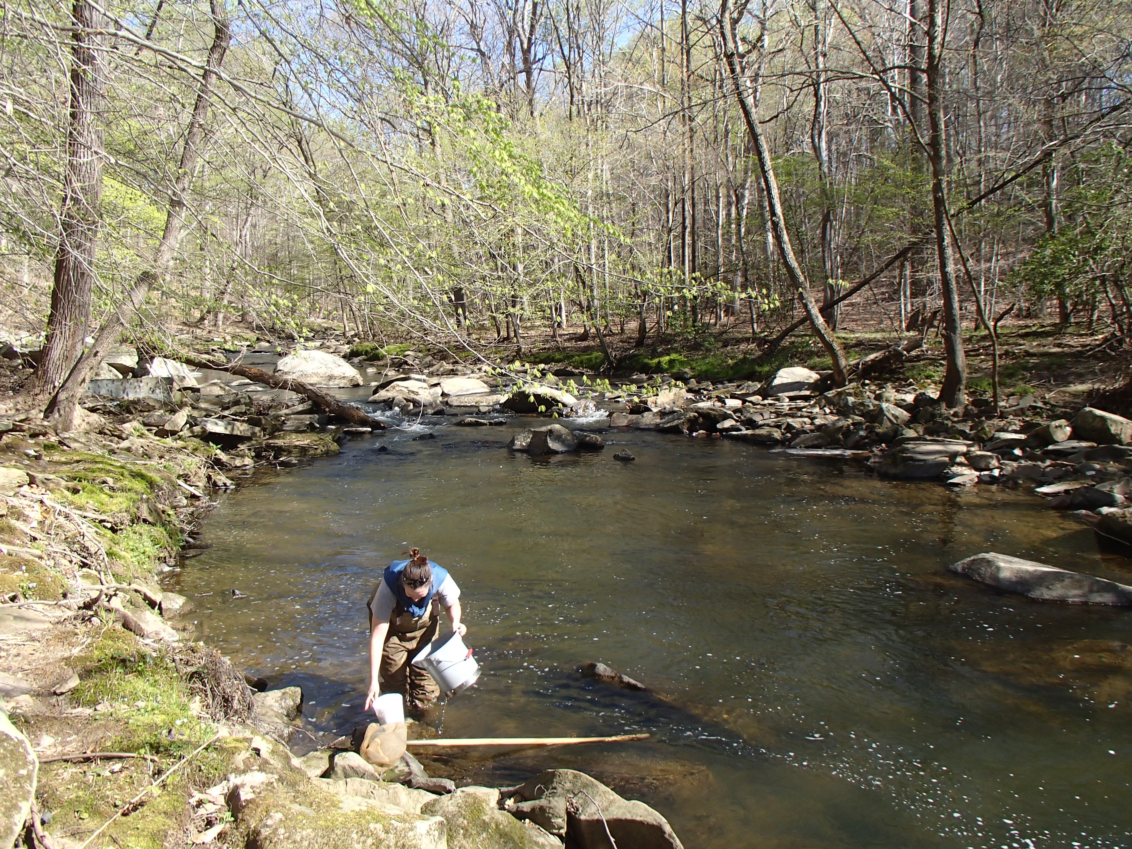 Field photo showing stream conditions at site NEAS-207-R-2016_midpoint upstream